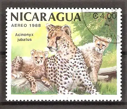 Briefmarke Nicaragua Mi.Nr. 2875 o Gepard (Acinonyx jubatus)