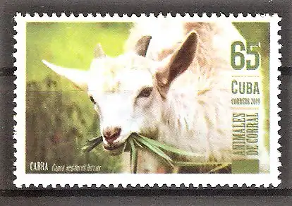 Briefmarke Cuba Mi.Nr. 6519 ** Haustiere 2019 / Ziege