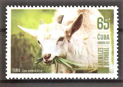 Briefmarke Cuba Mi.Nr. 6519 ** Ziege