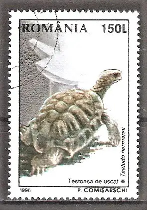 Briefmarke Rumänien Mi.Nr. 5209 o Einheimische Tiere 1996 / Griechische Landschildkröte (Testudo hermanni)