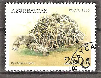 Briefmarke Aserbaidschan Mi.Nr. 226 o Schildkröten 1995 / Sternschildkröte (Testudo elegans)