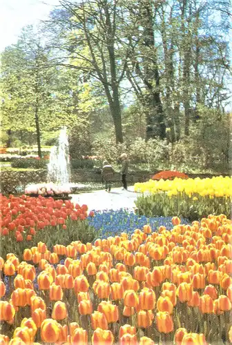 Ansichtskarte Niederlande - Lisse / Keukenhof - Tulpenfelder mit Wasserfontäne im Park (1748)