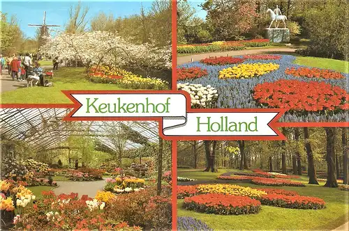 Ansichtskarte Niederlande - Lisse / Keukenhof - Holland im Blumenschmuck - Tulpen, Windmühle, Denkmal, Treibhaus (1750)