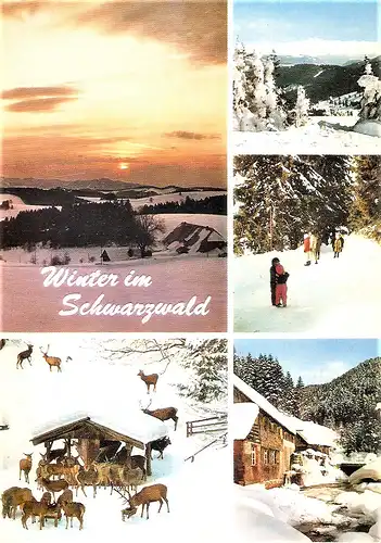 Ansichtskarte Deutschland - Winter im Schwarzwald (1764)