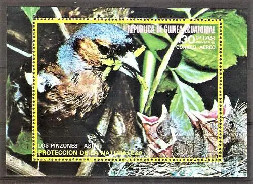 Briefmarke Äquatorial-Guinea Block 240 o (Mi.Nr. 954) Asiatische Vögel 1976 / Buchfinken (Fringilla coelebs)