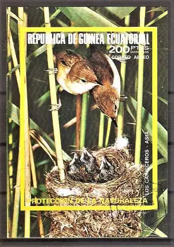 Briefmarke Äquatorial-Guinea Block 241 o (Mi.Nr. 955) Asiatische Vögel 1976 / Rohrsänger (Acrocephalus sp.)