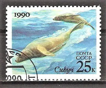 Briefmarke Sowjetunion Mi.Nr. 6131 o Meeressäugetiere 1990 / Stellers Seelöwe (Eumetopias jubata)