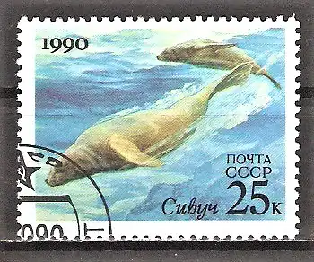 Briefmarke Sowjetunion Mi.Nr. 6131 o Stellers Seelöwe (Eumetopias jubata)