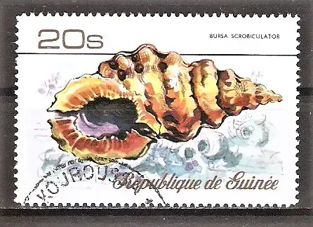 Briefmarke Guinea Mi.Nr. 774 A o Meeresschnecken 1977 / Pocken-Froschschnecke (Bursa scrobilator)