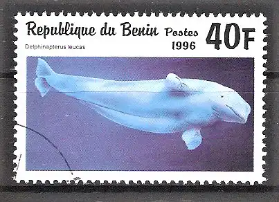 Briefmarke Benin Mi.Nr. 862 o Meeressäugetiere 1996 / Weißwal