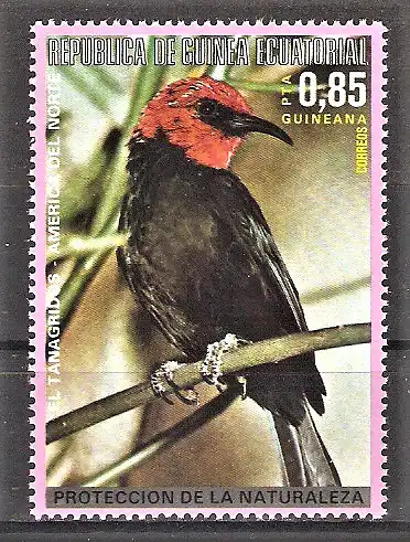 Briefmarke Äquatorial-Guinea Mi.Nr. 1008 ** Tangare