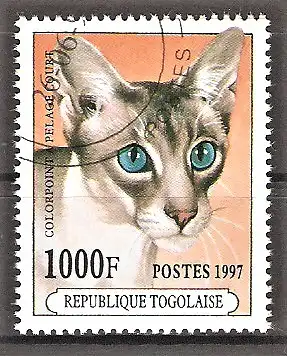 Briefmarke Togo Mi.Nr. 2543 o Katzenrassen 1997 / Kurzhaar-Colorpoint Katze