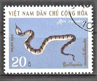 Briefmarke Vietnam Mi.Nr. 642 o Giftschlangen 1970 / McClellands Schmuckotter (Calliophis macclellandi)