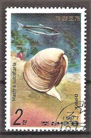 Briefmarke Korea-Nord Mi.Nr. 1668 o Meeresschnecken und Fische 1977 / Meeresschnecke (Mactra sulcataria)