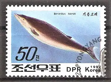 Briefmarke Korea-Nord Mi.Nr. 3358 o Baird-Wal (Berardius bairdii)