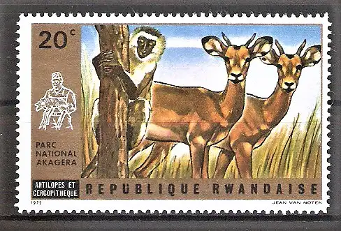 Briefmarke Ruanda Mi.Nr. 487 A ** Akagera-National-Park 1972 / Antilopen & Meerkatze