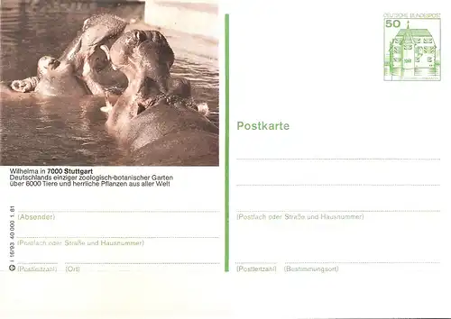 Bildpostkarte 7000 Stuttgart von 1981 / Flusspferde in der Wilhelma  (bpk1)