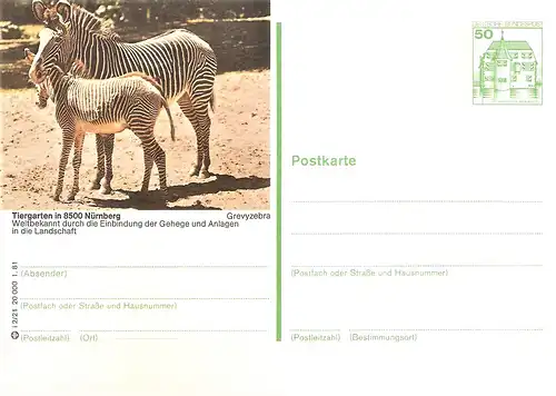 Bildpostkarte 8500 Nürnberg von 1981 / Grevy-Zebras im Tiergarten (bpk29)