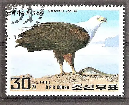Briefmarke Korea-Nord Mi.Nr. 3261 o Greifvögel 1992 / Schreiseeadler (Haliaeetus vocifer)