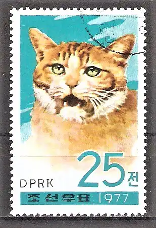 Briefmarke Korea-Nord Mi.Nr. 1661 o Hauskatze
