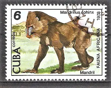 Briefmarke Cuba Mi.Nr. 2349 o Tiere des zoologischen Gartens von Havanna 1978 / Mandrill (Mandrillus sphinx)