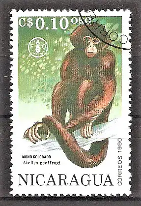 Briefmarke Nicaragua Mi.Nr. 3032 o 45 Jahre Landwirtschaftsorganisation der Vereinten Nationen (FAO) - Tiere 1982 / Geoffroy-Klammeraffe (Ateles geoffroyi)