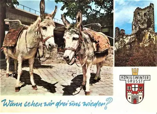 Ansichtskarte Deutschland - Königswinter / Drachenfels-Esel und Drachenfels-Ruine (1525)
