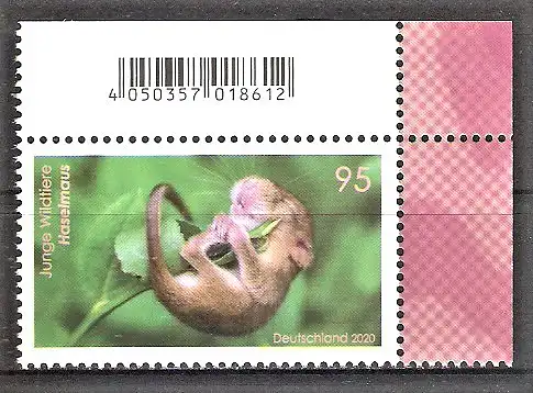 Briefmarke BRD Mi.Nr. 3563 ** BOGENECKE o.r. Tierbabys 2020 / Haselmaus (Muscardinus avellanarius)