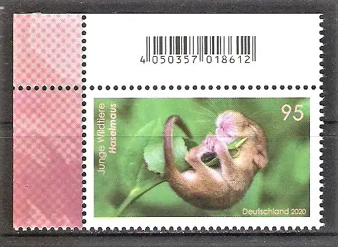 Briefmarke BRD Mi.Nr. 3563 ** BOGENECKE o.l. Tierbabys 2020 / Haselmaus (Muscardinus avellanarius)
