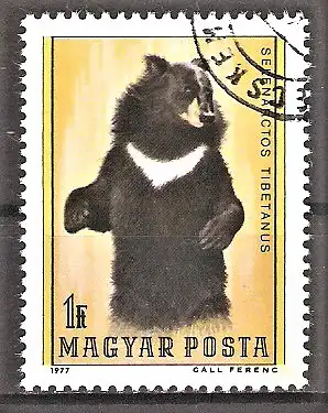 Briefmarke Ungarn Mi.Nr. 3245 A o Bären 1977 / Kragenbär (Selenarctos thibetanus)