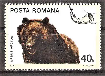 Briefmarke Rumänien Mi.Nr. 3367 o Braunbär (Ursus arctos)
