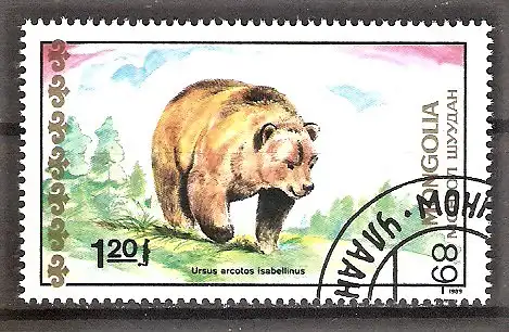 Briefmarke Mongolei Mi.Nr. 2038 o Bären 1989 / Isabell-Braunbär (Ursus arctos isabellinus)