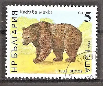 Briefmarke Bulgarien Mi.Nr. 3703 o Bären 1988 / Braunbär (Ursus arctos)