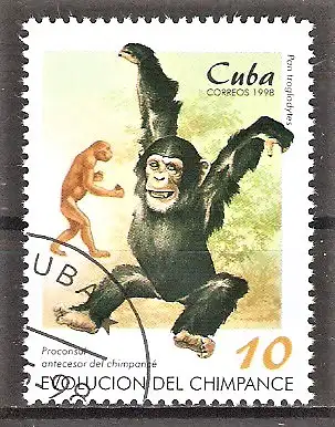 Briefmarke Cuba Mi.Nr. 4106 o Evolution des Schimpansen 1998 / Schimpanse (Pan troglodytes)