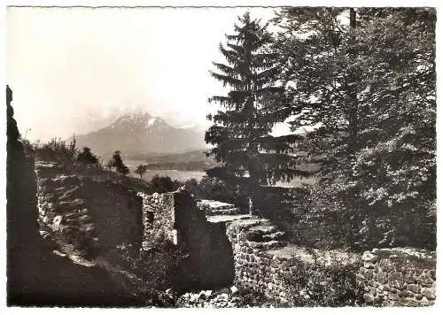 Ansichtskarte Schweiz - Küssnacht am Rigi / Ruine Gesslerburg (2684)