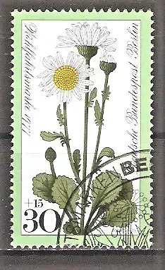 Briefmarke Berlin Mi.Nr. 556 o Wohlfahrt 1977 / Wiesenblumen - Margerite (Chrysanthemum leucanthemum)