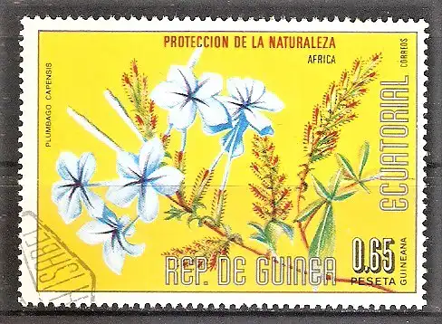 Briefmarke Äquatorial-Guinea Mi.Nr. 982 o Afrikanische Blumen 1976 / Kap-Bleiwurz (Plumbago capensis)