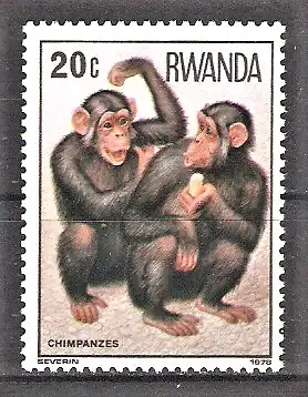 Briefmarke Ruanda Mi.Nr. 922 ** Affen 1978 / Schimpanse (Pan troglodytes)