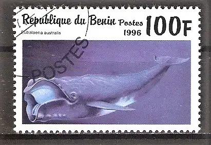 Briefmarke Benin Mi.Nr. 865 o Südlicher Glattwal