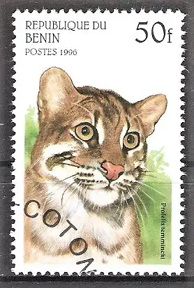 Briefmarke Benin Mi.Nr. 807 o Wildkatzen 1996 / Asiatische Goldkatze