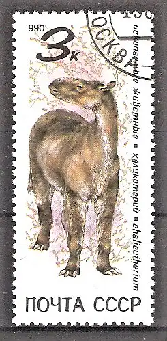 Briefmarke Sowjetunion Mi.Nr. 6117 o Chalicotherium