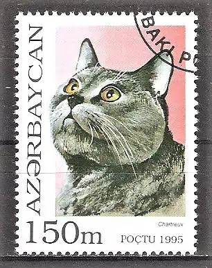 Briefmarke Aserbaidschan Mi.Nr. 263 o Kartäuserkatze