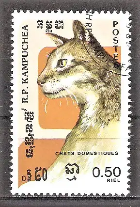 Briefmarke Kambodscha Mi.Nr. 667 o Hauskatzen 1985 / Schildpattkatze