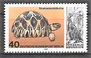 Briefmarke Berlin Mi.Nr. 554 ** 25. Jahrestag der Wiedereröffnung des Aquariums im Berliner Zoo 1977 / Strahlenschildkröte (Testudo radiata)