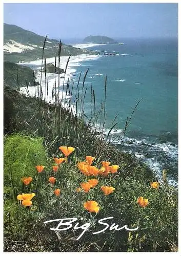 Ansichtskarte USA - Big Sur / California poppies and coast with St. Sur (2379)