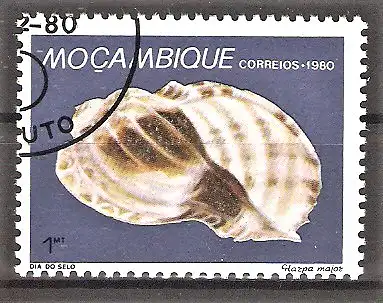 Briefmarke Mocambique Mi.Nr. 779 o Gehäuse von Meresschnecken 1980 / Große Harfenschnecke (Harpa major)