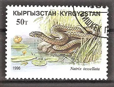 Briefmarke Kirgisistan Mi.Nr. 108 o Reptilien 1996 / Würfelnatter (Natrix tesselata)
