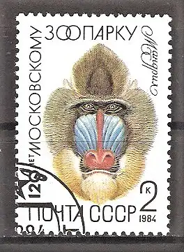 Briefmarke Sowjetunion Mi.Nr. 5356 o 120 Jahre Moskauer Tierpark 1984 / Mandrill (Mandrillus sphinx)