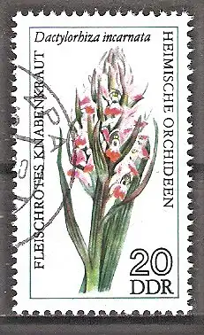 Briefmarke DDR Mi.Nr. 2136 o Heimische Orchideen 1976 / Fleischrotes Knabenkraut (Dactylorhiza incarnata)