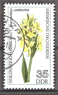 Briefmarke DDR Mi.Nr. 2138 o Heimische Orchideen 1976 / Holunderknabenkraut (Dactylorhiza sambucina)